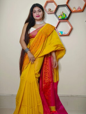 Silk designer handloom saree