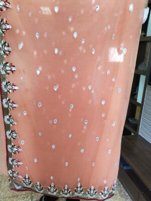 Peach Colour Soft Net Saree With Designer Blouse