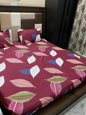 Abstract Cotton 1 Double Bedsheet With 2 Pillow Covers