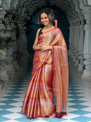 Handloom beautiful tissue saree